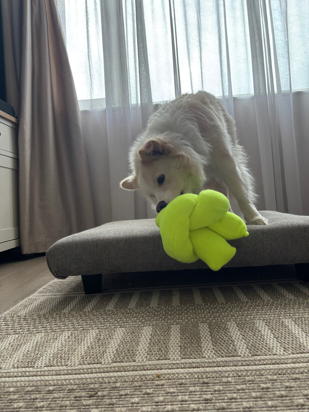 Sniff-a-Knot