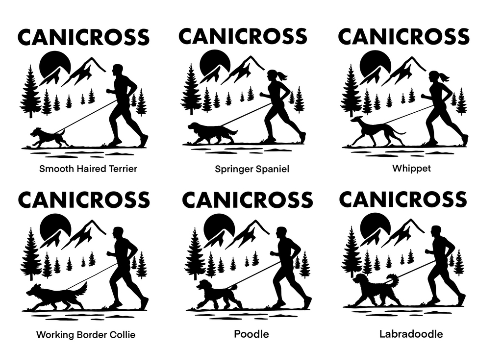 Canicross Sweater - Black Image