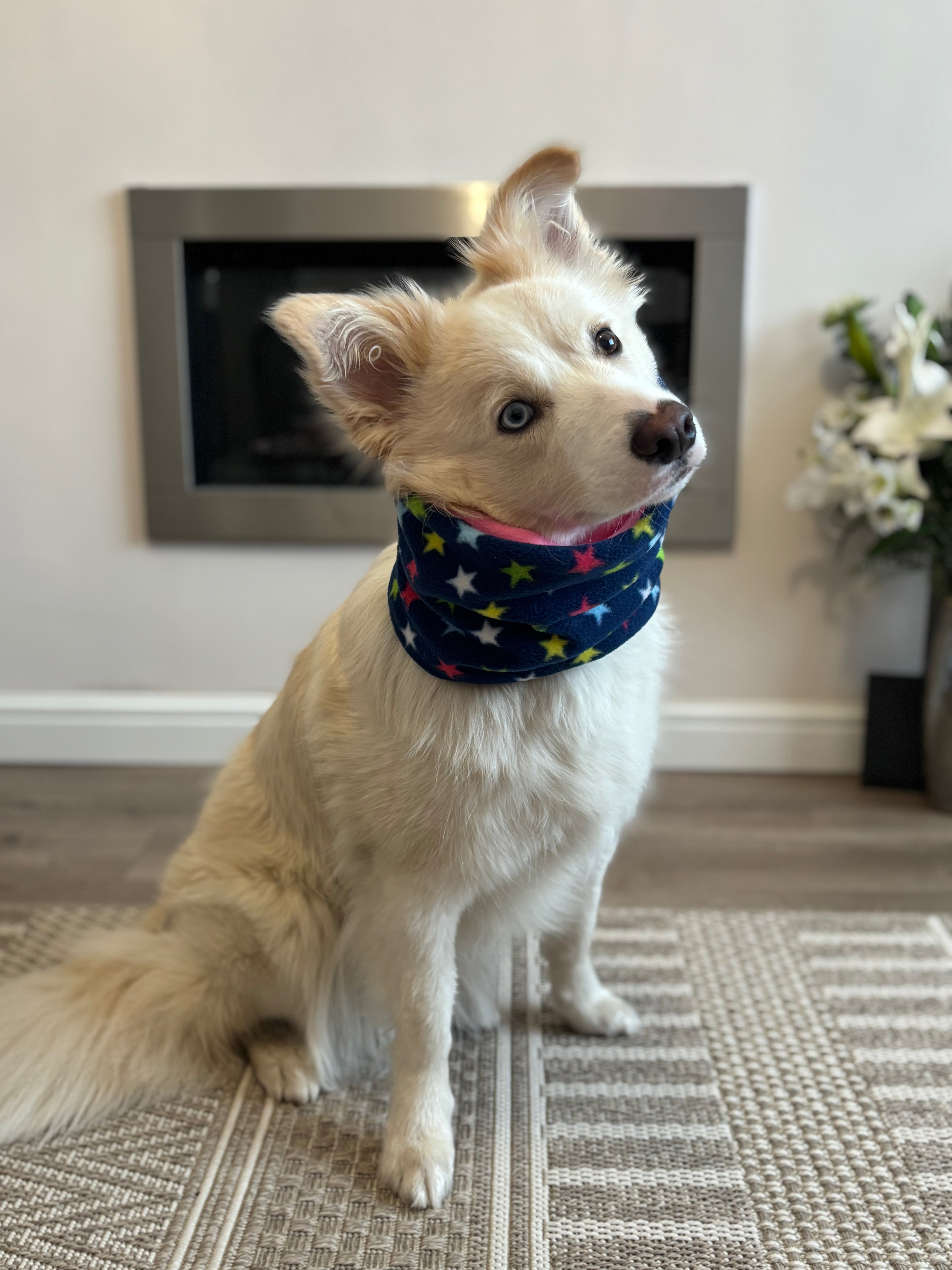 Classic Snoods - Dogs