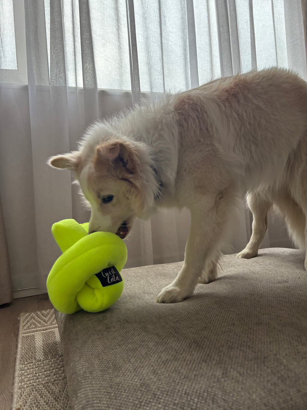 Sniff-a-Knot