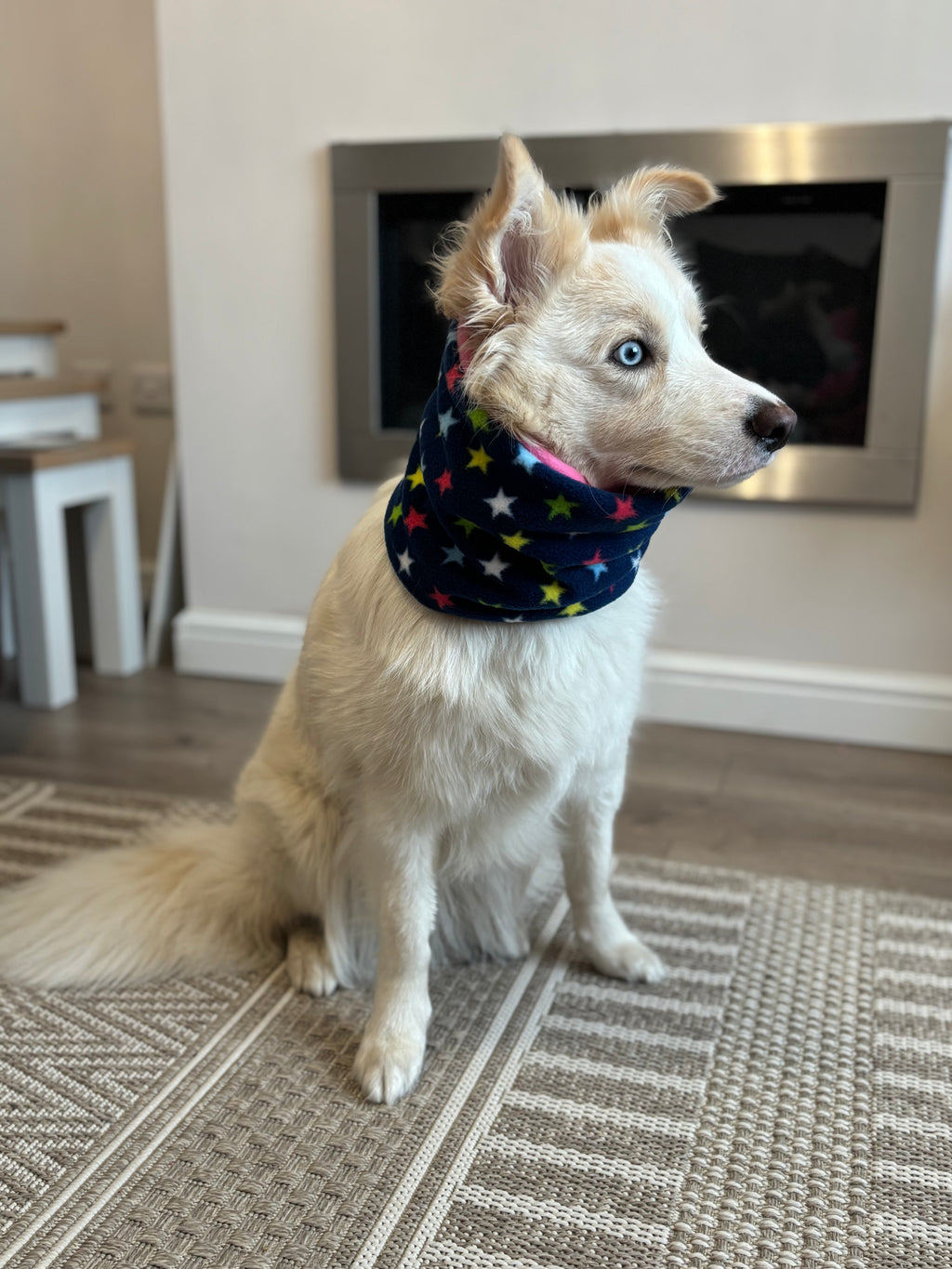 Classic Snoods - Dogs