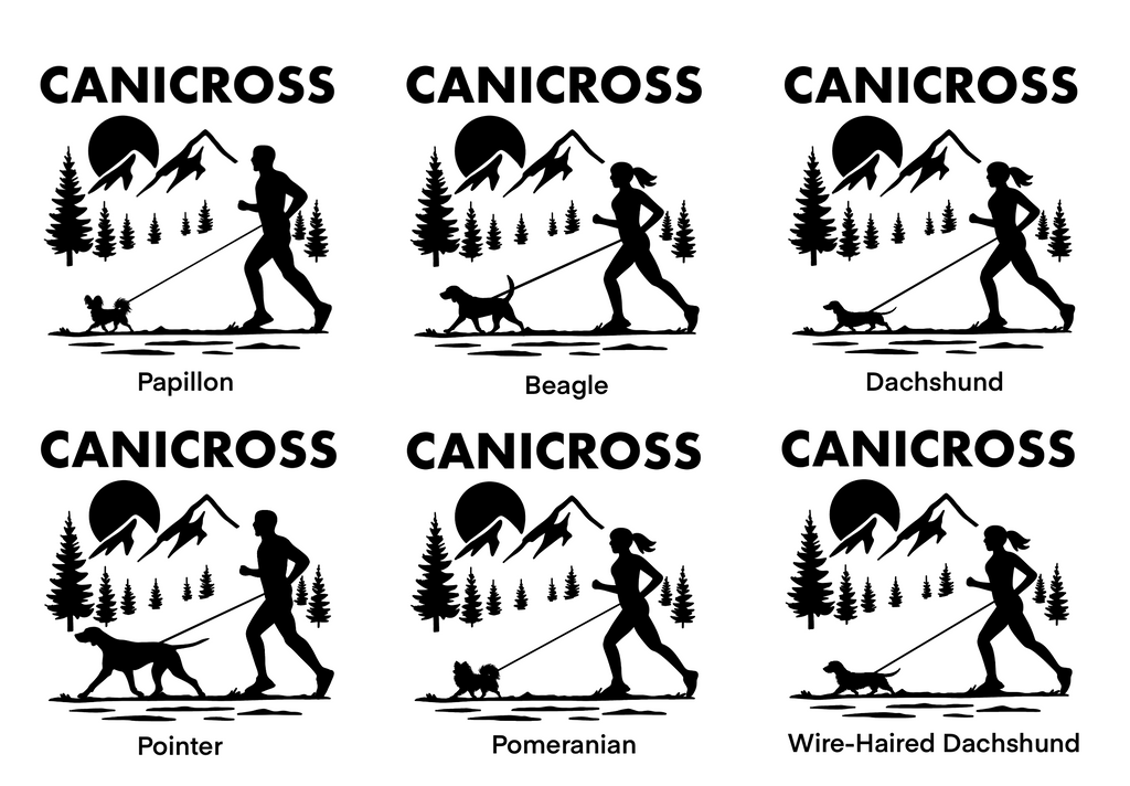 Canicross Sweater - Black Image