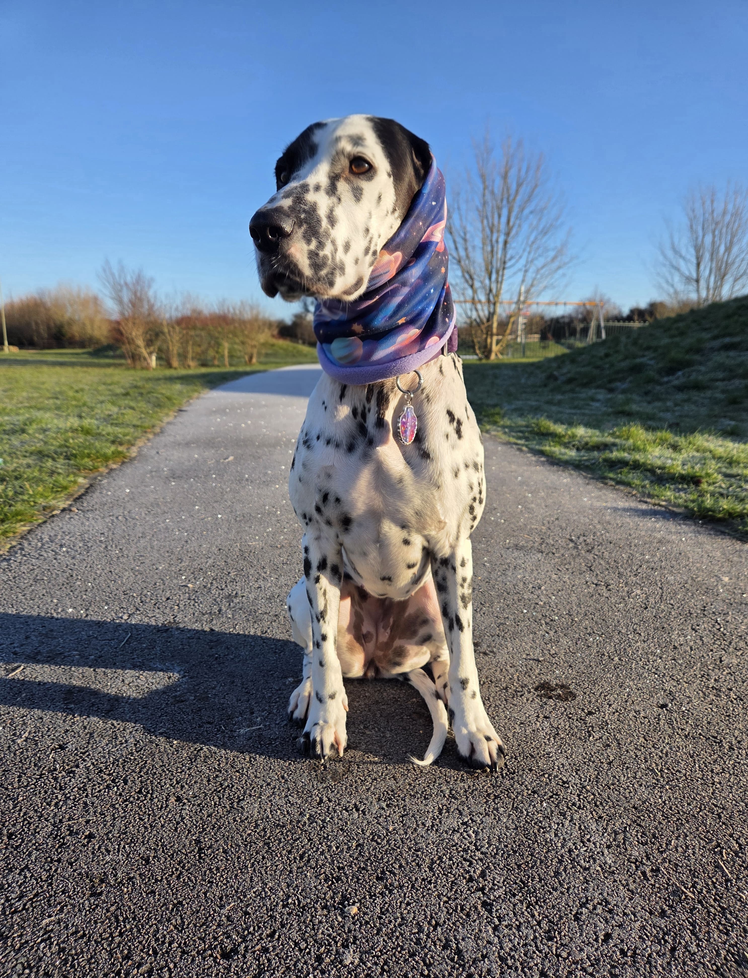 Signature Collection Snoods - Dogs