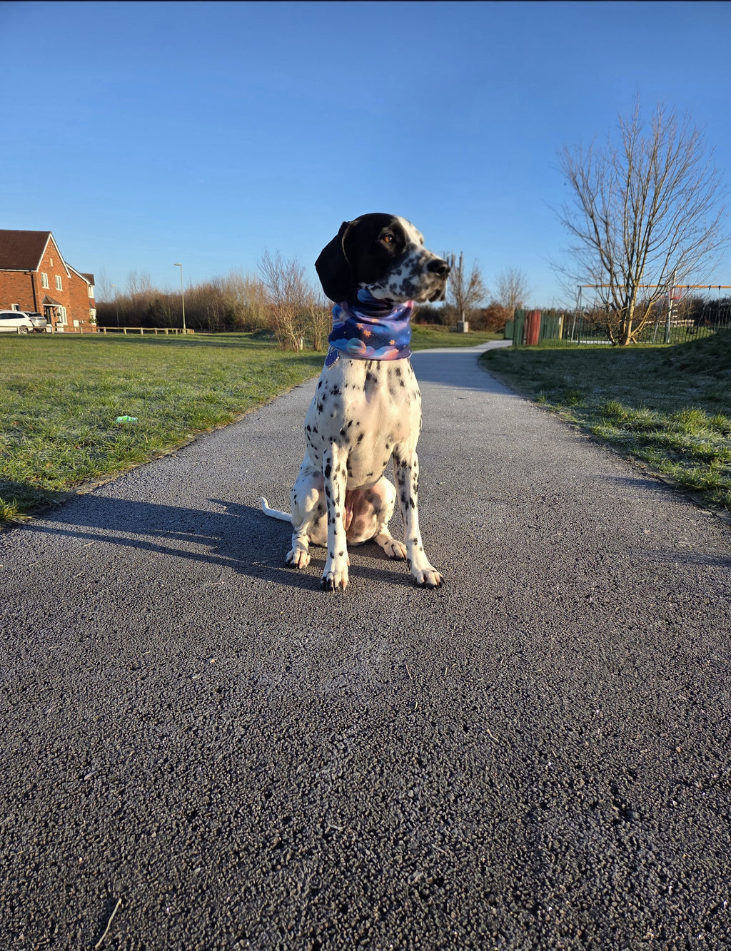 Signature Collection Snoods - Dogs