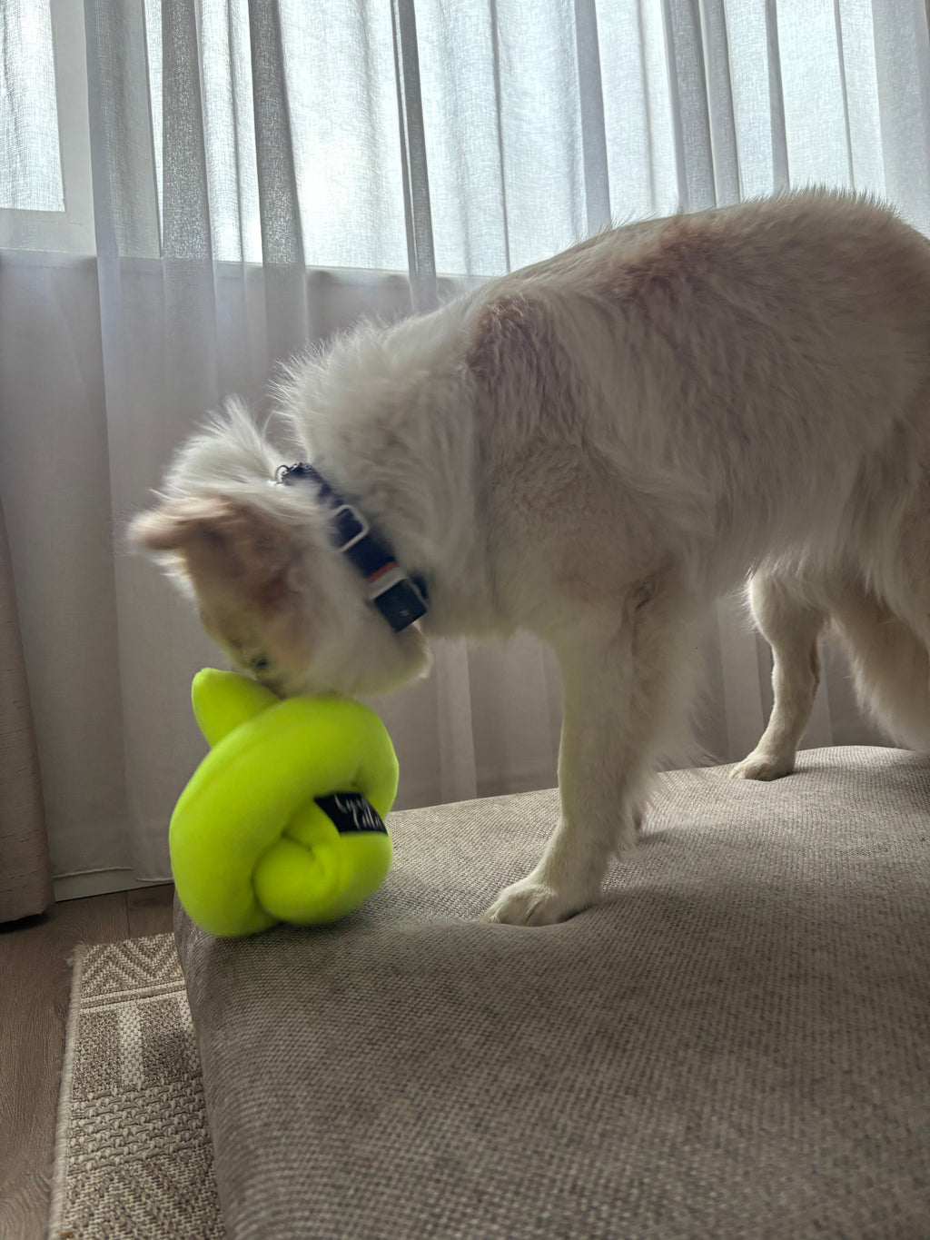 Sniff-a-Knot